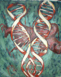 Série couleur ADN - 1995-2005 - DNA color series